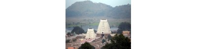 பெரியநாயகி- தேவிகாபுரம்- தமிழ்நாடு